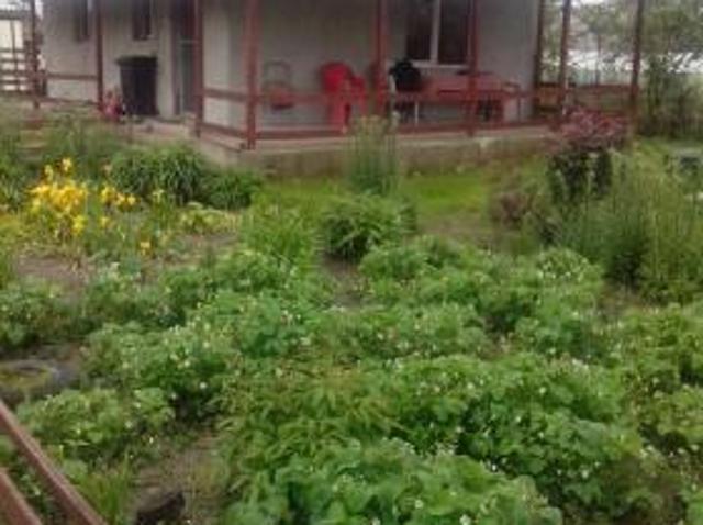 Casă vânzări în Gaesti, Dâmbovița