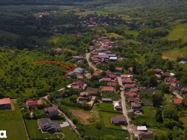 Casă vânzări