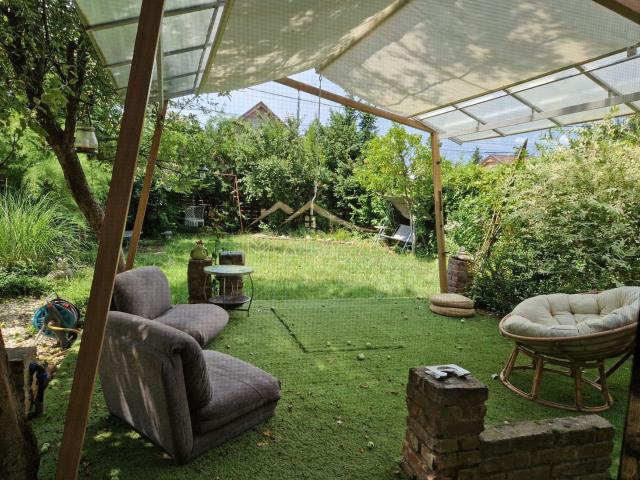 Casă închirieri în Mogosoaia, București