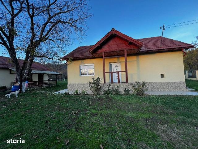Casă vânzări în Ilba