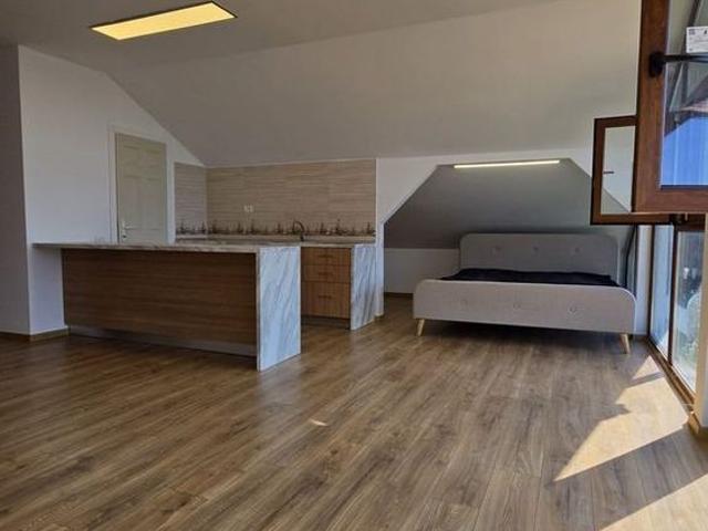 Casă închirieri în Tancabesti, București