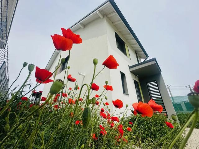 Casă închirieri în Dumbravita, Timiș