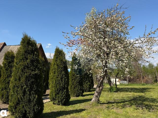 Casă vânzări