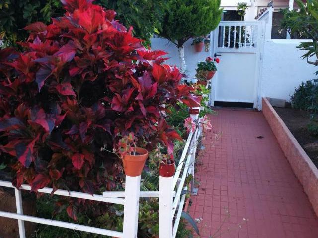 Casa en alquiler en Puerto De La Cruz, Canarias