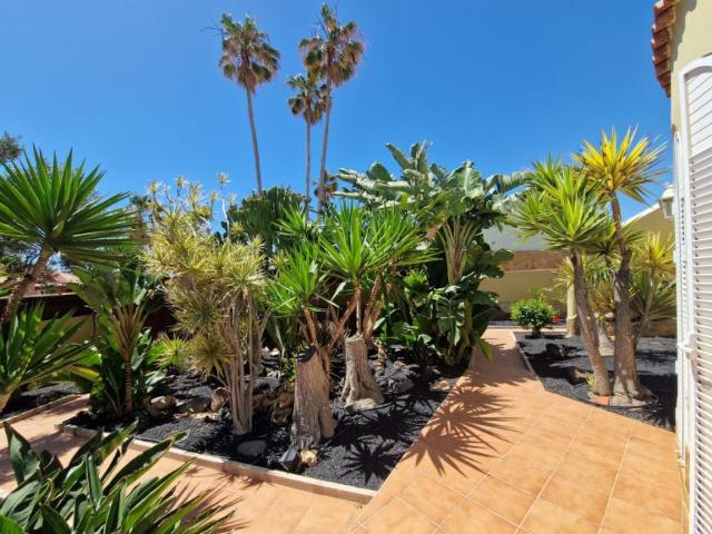 Casa en alquiler en Antigua, Canarias