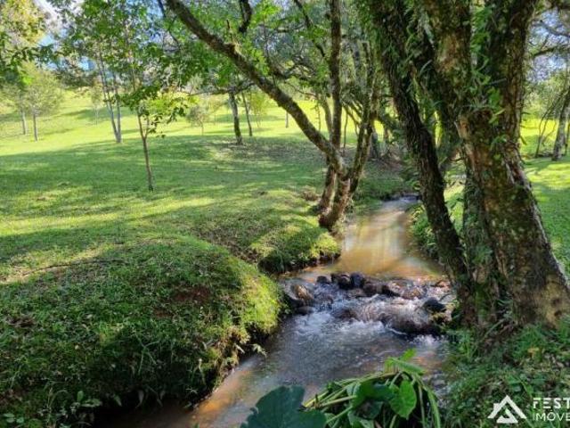 Casa venda em Região Geográfica Imediata de Bento Gonçalves, Vila Flores