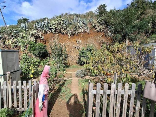 Casa en alquiler en La Caridad, Tacoronte