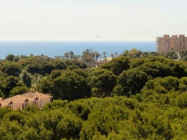 Casa en alquiler en Dehesa de Campoamor, el Baix Segura / La Vega Baja