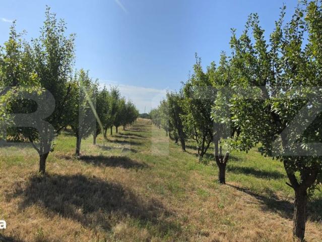 Casă închirieri în Satu Mare