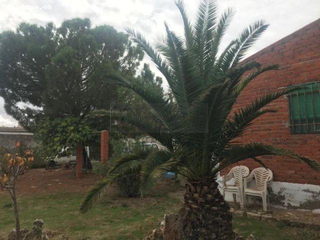 Casa en venta en La Villa De Don Fadrique, Castilla-La Mancha