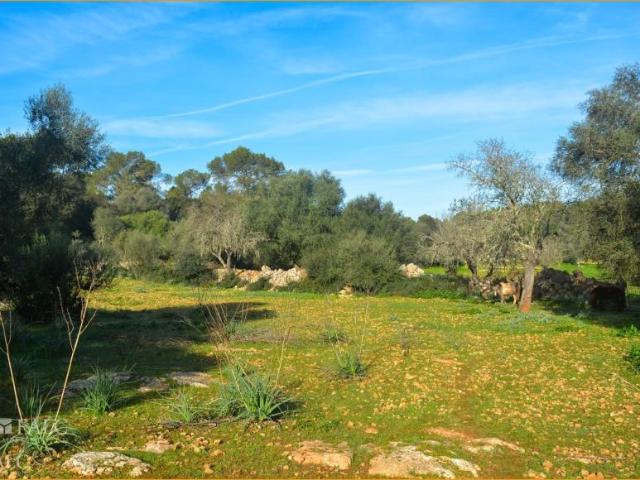 Casa en venta en Pina, Pla de Mallorca