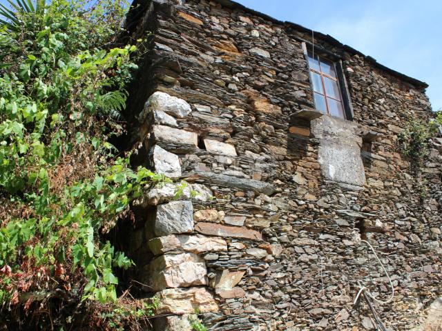 Casa venda em Touriz, Castelo De Paiva