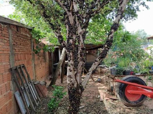 Casa venda em Região Imediata de Piracicaba, Região Metropolitana de Piracicaba