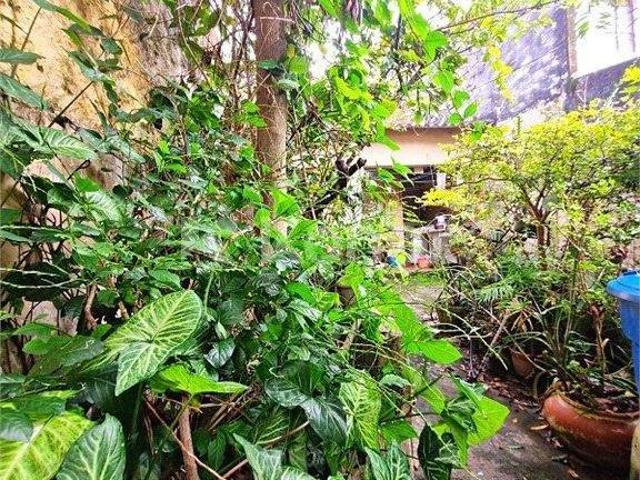 Casa venda em Vila Amélia, São Paulo