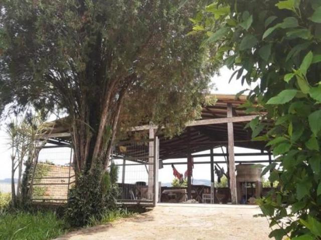 Casa venda em Campo Bom