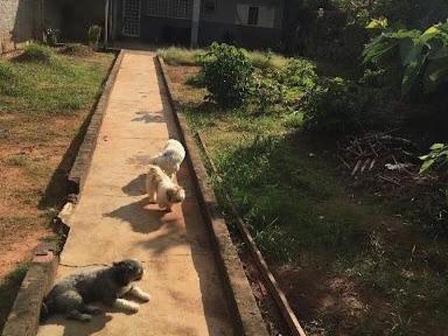Casa venda em Região Imediata de Bauru, Bauru