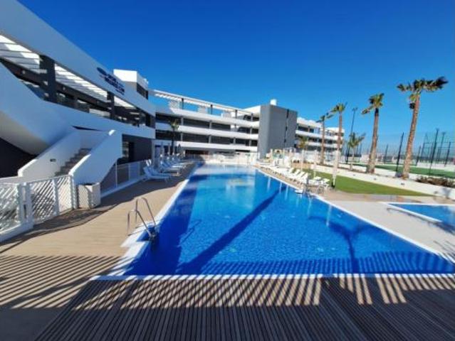 Chalet en alquiler en Urbanización El Chaparral, el Baix Segura / La Vega Baja