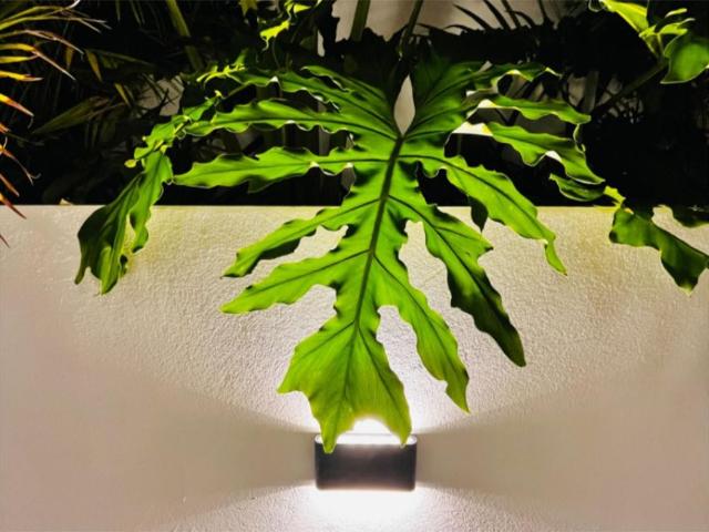 Piso en alquiler en San Bartolomé De Tirajana, Canarias