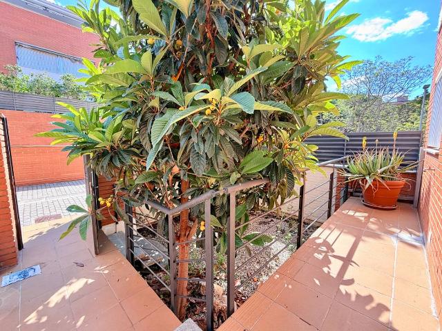 Chalet en alquiler en Can Nadal, Baix Llobregat