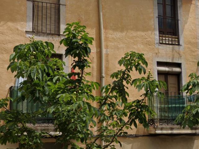 Casa en venta en la Selva, Catalunya