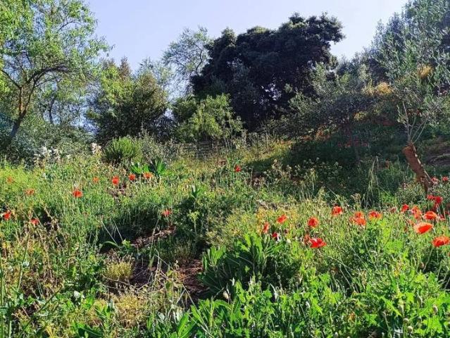 Villa en venta en Benaoján, Estación Benaoján-Montejaque