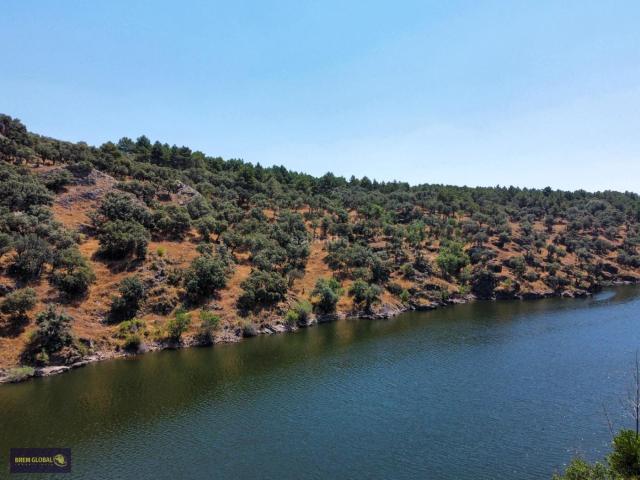 Villa en venta en Buitrago Del Lozoya