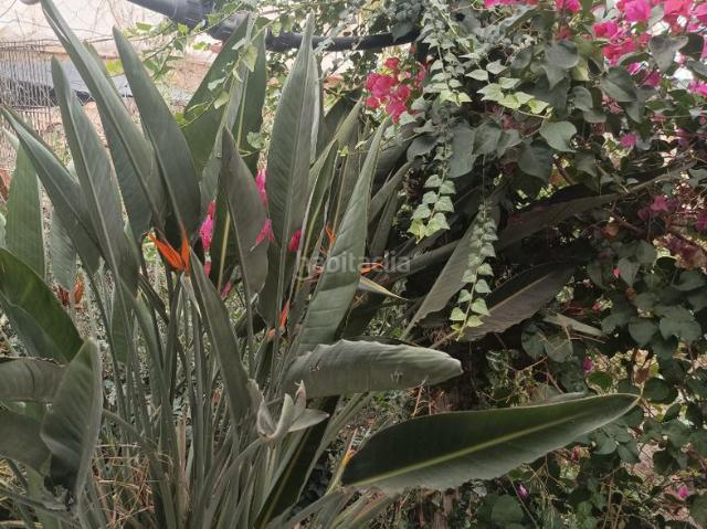 Chalet en venta en Dalías, Andalucía