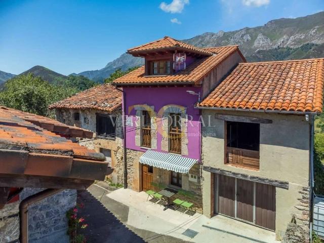 Chalet en venta en Peñamellera Alta, Asturias
