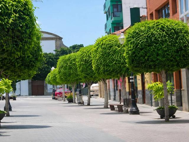 Chalet en venta en San José de las Longueras, Telde