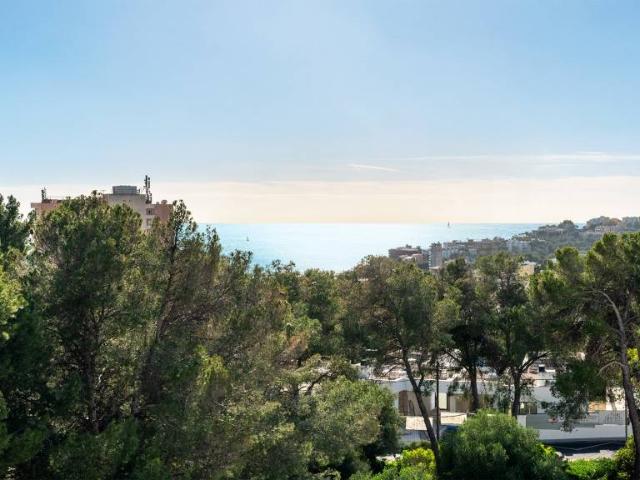 Chalet en venta en Canamunt, Palma