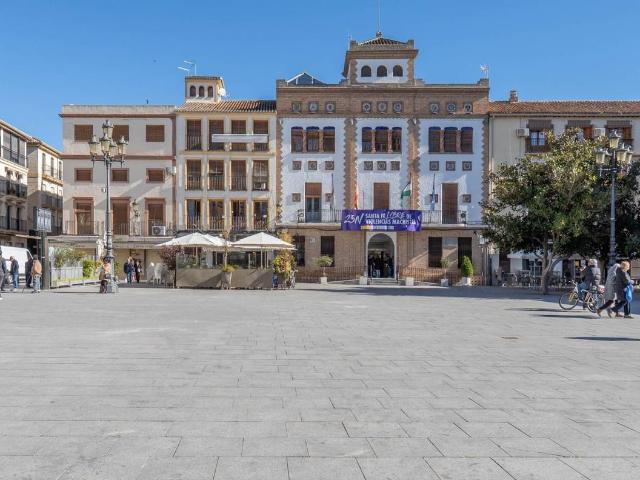 Chalet en venta en Comarca de la Vega de Granada, Andalucía
