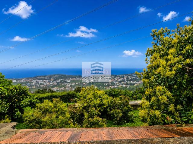 Chalet en venta en Santa Úrsula, Canarias