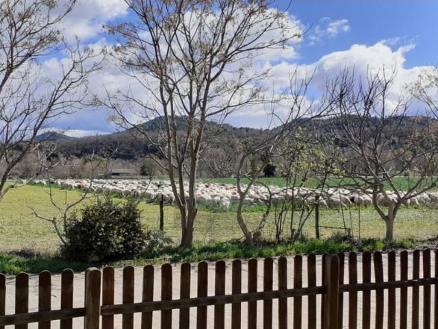 Casa en venta en Aínsa-sobrarbe, Aragón