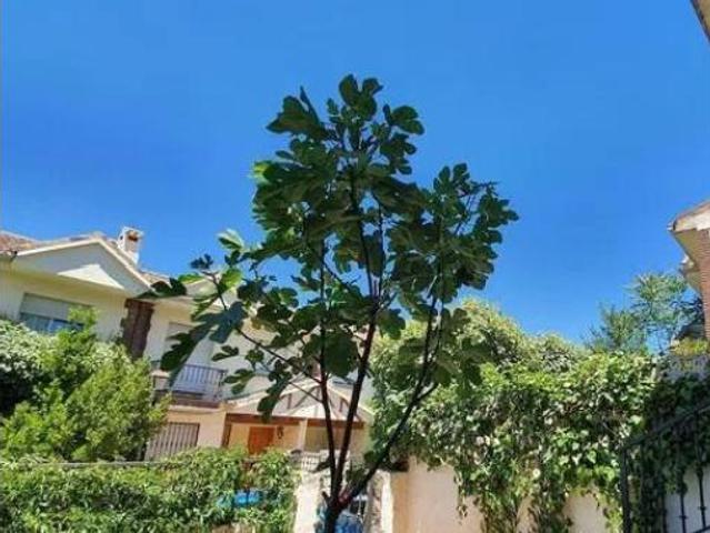 Chalet en venta en Guadalix De La Sierra, Madrid