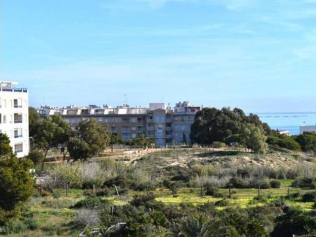 Chalet en venta en Urbanització Pinar de Guardamar, el Baix Segura / La Vega Baja