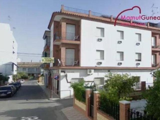 Chalet en venta en Herrera, Andalucía