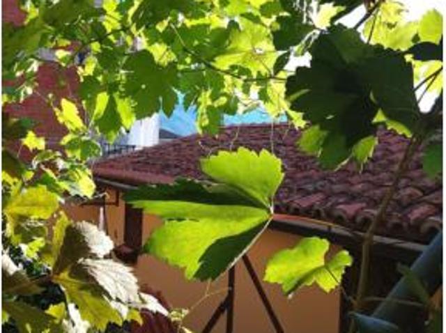 Chalet en venta en Madrigal De La Vera, Extremadura