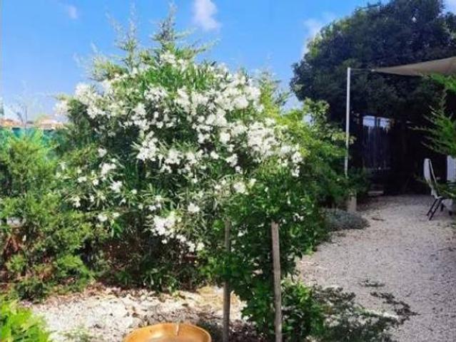 Chalet en venta en Urbanización El Chaparral, el Baix Segura / La Vega Baja