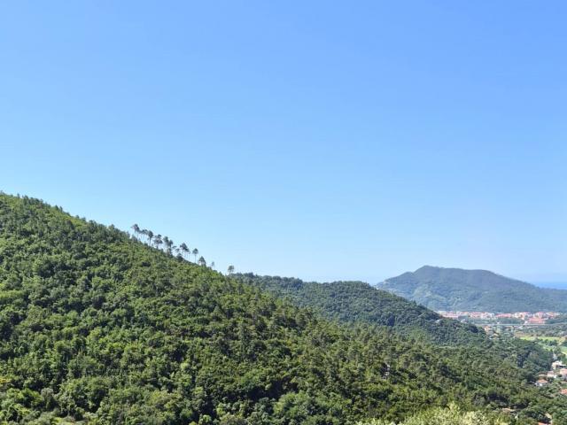 Villa Schiera in vendita a Sestri Levante, Genova
