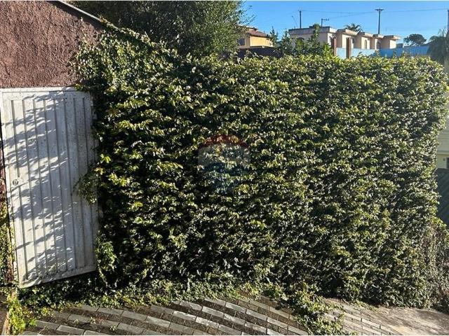 Casa aluguel em Ribeirão Pires