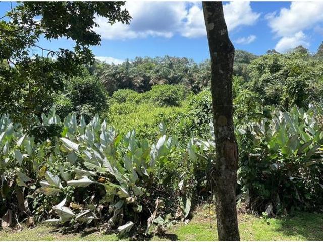 Casa amoblada en venta en bocas del toro