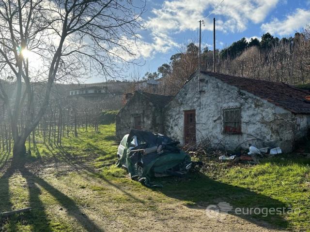 Terreno venda em Lamego, Viseu