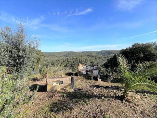 Casa venda em Abrantes, Santarém