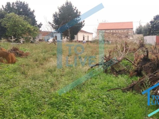 Casa venda em Beco, Ferreira do Zêzere