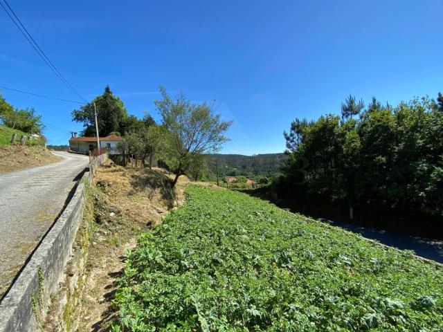 Casa venda em Cunha, Viana Do Castelo