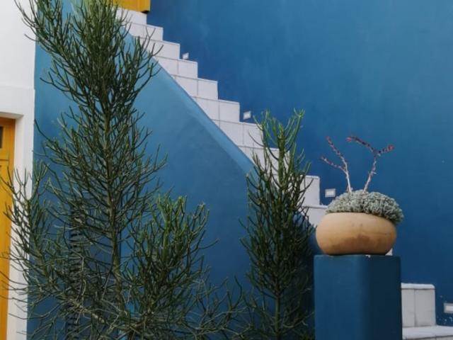 Casa en renta en Guadalajara, Jalisco