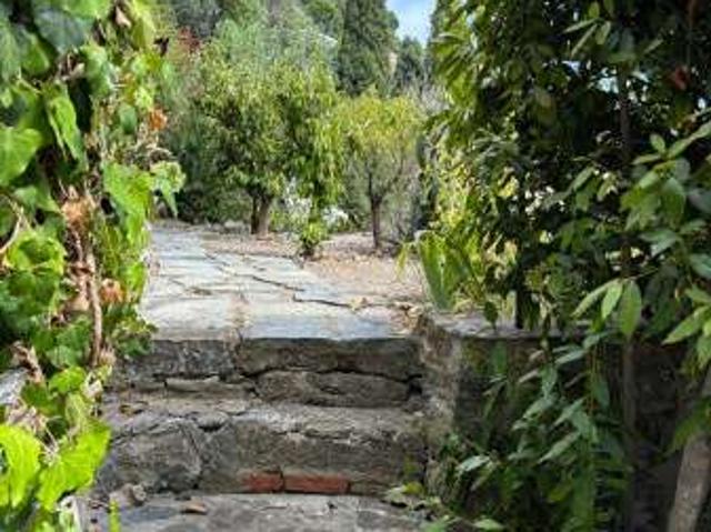 Villa Indipendente in affitto a Alassio, Liguria