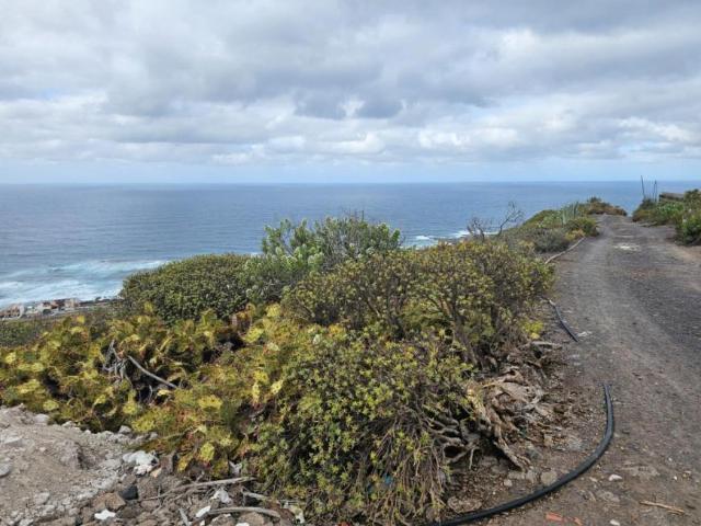 Casa en venta en Arucas, Canarias