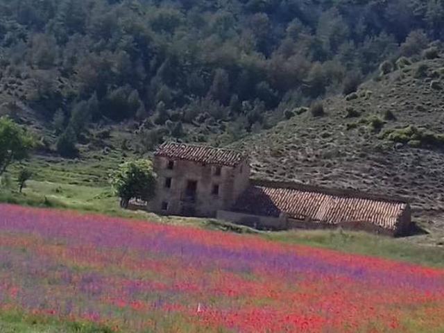 Casa en alquiler en Torrijas, Teruel