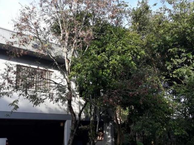Casa venda em Região Geográfica Imediata de Caxias do Sul, Feliz